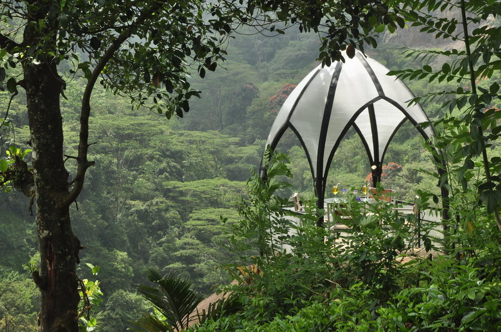 Tea & Resort Nawalapitiya